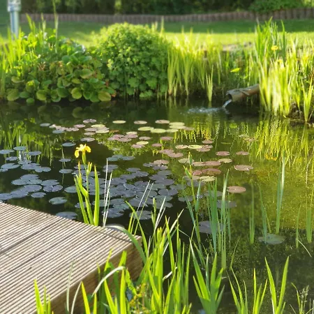 Charming In Weinsheim With Garden